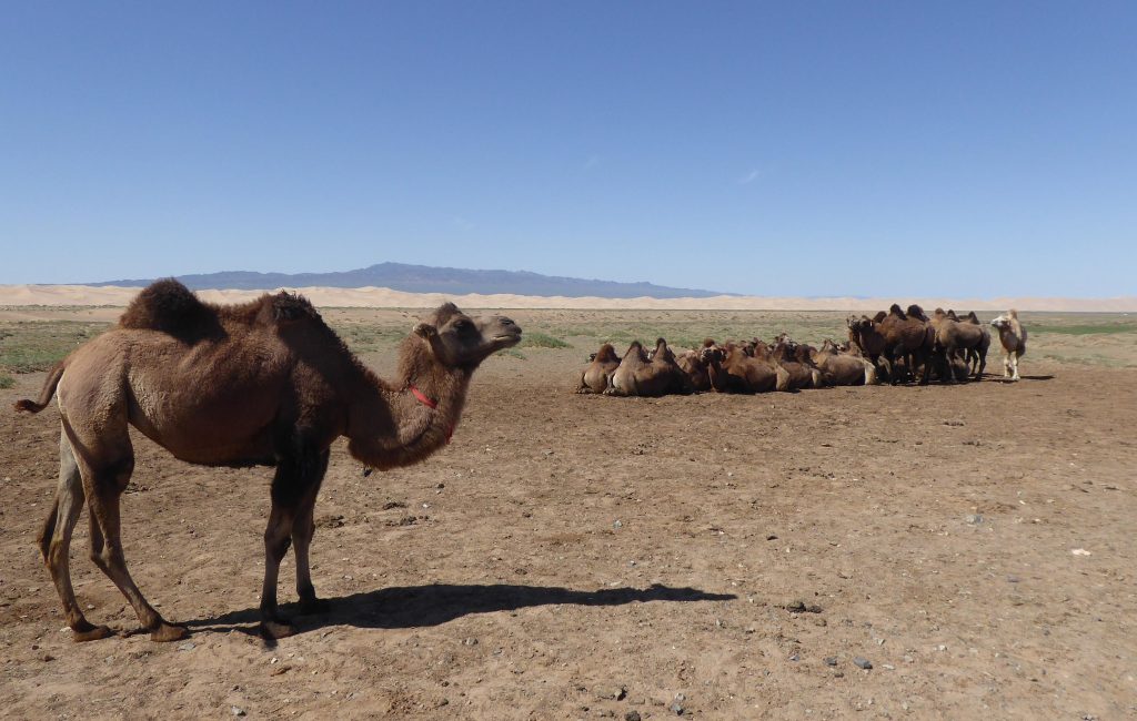 Mongolei; 15.08. – 25.08.2018